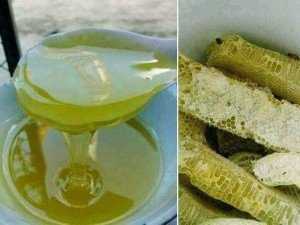 Mật ong rừng và mật ong hoa Bạc Hà