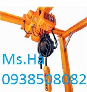 palang diện xích 3 tấn