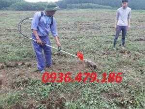 Cung cấp máy cắt cỏ honda, máy xạc cỏ honda, máy xạc cỏ 2 thì, máy cắt tỉa cành trên cao
