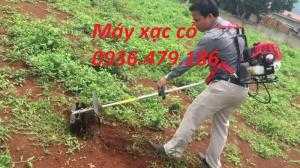 Cung cấp máy cắt cỏ honda, máy xạc cỏ honda, máy xạc cỏ 2 thì, máy cắt tỉa cành trên cao