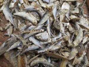 Bán Bột Vỏ Tôm và Đầu Cá Cơm