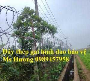 Dây thép gai, dây kẽm gai, dây thép bảo vệ, dây thép gai hàng rào