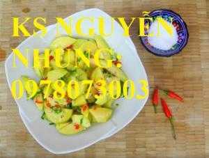 Cung cấp giống cây cóc thái, cây giống cóc thái, giống cây ăn quả, trung tâm giao cây toàn quốc