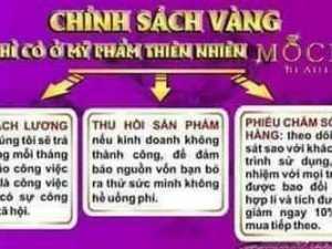 Tuyển sỉ