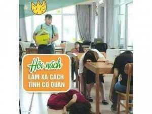 Đặc Trị Hôi Nách Hoa Cúc