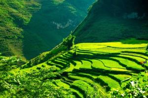 Du lịch Hà Giang Hà Giang hấp dẫn