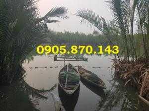 Bán đất Cẩm ThanhHội An giá rẻ, view sông nước rừng dừa cực đẹp