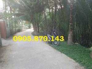 Bán đất Cẩm ThanhHội An giá rẻ, view sông nước rừng dừa cực đẹp