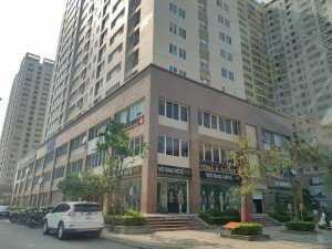 Bán nhà liền kề chính chủ, 92m2, đông nam, KĐT Tân tây đô