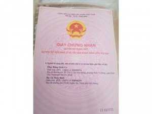 Trong khu dân cư dự án Trần Anh.