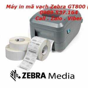 Máy in mã vạch Zebra GT800 (300dpi)