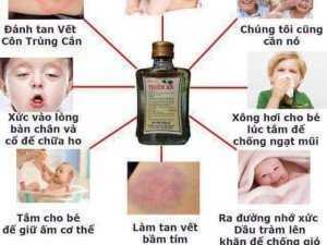 Dầu tràm THIÊN AN gốc HUẾ
