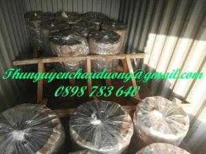 Thép cuộn Q195/ A285/ SS330/ S185