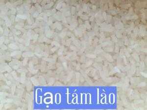 Gạo tám lào loại đặc biệt