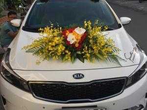 Cho thuê xe tự lái hiệu Kia Cerato 2017 và Chevrolet Spark 2015 mới, thủ tục nhanh chóng