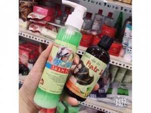 Bộ gội xịt dưỡng từ vỏ và hoa bưởi
