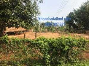 Bán Đất thổ cư 2 mặt tiền 12*31m,hẻm Phạm Ngũ Lão nối dài,Giá rẻ,Đường nhựa QH 12m,cách Tỉnh Lộ 8