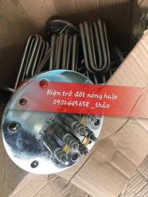 Điện trở mặt bích