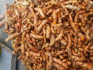 Tinh bột nghệ nhà làm