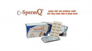 SpermQ Viên Bổ Dương - Hỗ Trợ Điều Trị Vô Sinh Nam