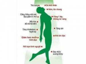 Mầm đậu nành bổ sung estrogen cho bạn