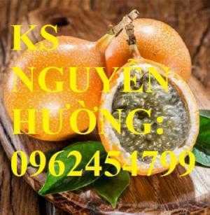 Cung cấp cây giống chanh leo ngọt colombia, chanh leo ngot, cung cấp cây giống toàn quốc