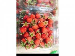 Raspberry - Phúc Bồn Tử - Mâm Xôi TP Hồ Chí Minh