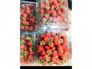 Raspberry - Phúc Bồn Tử - Mâm Xôi TP Hồ Chí Minh