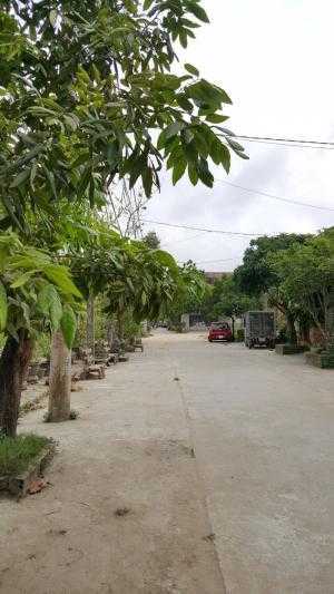 Đất xóm 3 Ngọc Anh, hướng chính Đông 218m2, rộng 8m