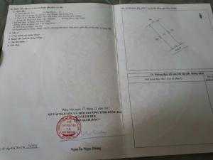 Bán Gấp Nhà Ở Ngay Đường Tránh Biên Hòa, Thổ Cư 100%, Sổ Hồng Riêng.