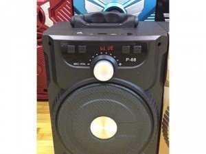 Loa karaoke mini P88.