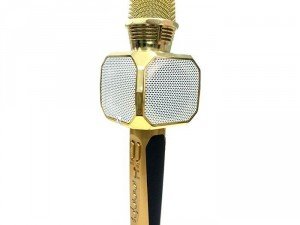 Mic 3in1 SD 10.