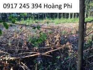 Dự án siêu sinh lời cho các nhà đầu tư tại đất Chơn Thành