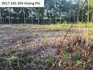 Dự án siêu sinh lời cho các nhà đầu tư tại đất Chơn Thành
