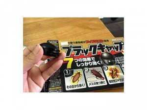 Diệt gián Nhật Bản