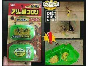 Diệt kiến Nhật Bản