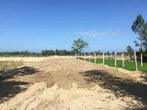 Nhận Ưu Tiên 1 Dãy Biệt Thự Đường 27M Dự Án An Phú Riverside
