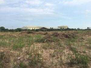 Cần sang nhượng 21,467 m2 đất trong cụm công nghiệp tại Mỹ Hiệp, Cao Lãnh, Đồng Tháp