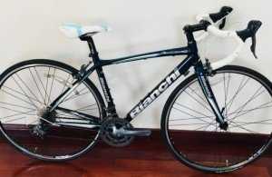 Xe đua Nhật bãi Bianchi
