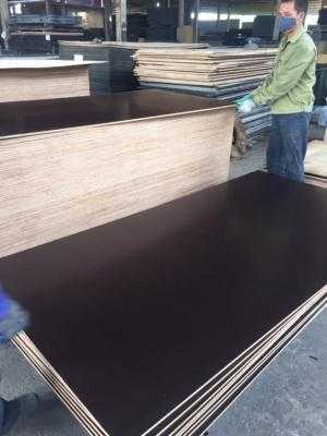 Ván ép Cốp pha phủ phim giá rẻ