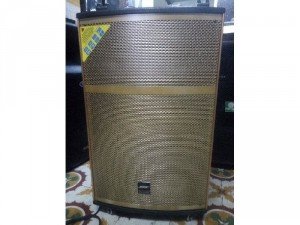 Loa kéo Bose 408.