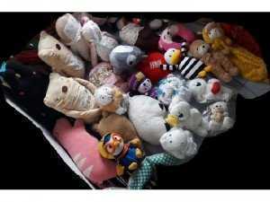Gấu bông sell rẻ