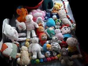 Gấu bông sell rẻ