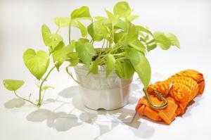 Dây đai được làm bằng sợi tổng hợp (sợi vải pha) cao cấp, có khả năng chịu được lực cao, được thiết kế đặc biệt giúp ôm sát vào thân người, nhưng vẫn tạo sự thoải mái cho người sử dụng, bất chấp trong thời gian lâu.