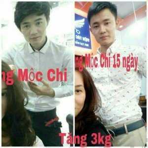 Trà tăng cân Mộc Chi