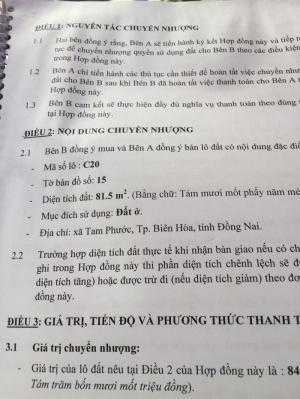 Chú ý! Cơ hội sở hữu đất nền Dự án Ruby City Biên Hòa giá đầu tư!