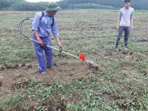 người dân sử dụng máy xạc cỏ