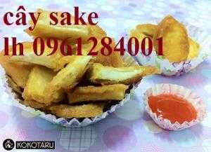 món ăn được chế biến từ quả sa kê