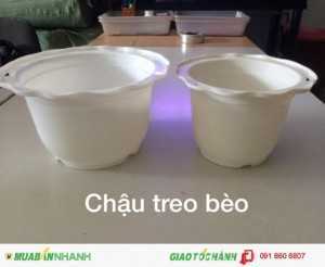 Công ty THAKICO - Chuyên Sản Xuất các loại Chậu Treo chất lượng