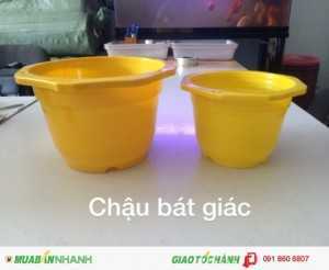 Công ty THAKICO - Chuyên Sản Xuất các loại Chậu Treo chất lượng